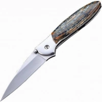 Полуавтоматический складной нож Santa Fe Kershaw Leek, сталь 14C28N, рукоять сталь с накладкой из зуба мамонта купить в Омске